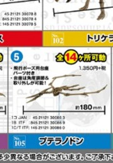 多姿骷髅 恐龙系列105 翼龙 | Hpoi手办维基