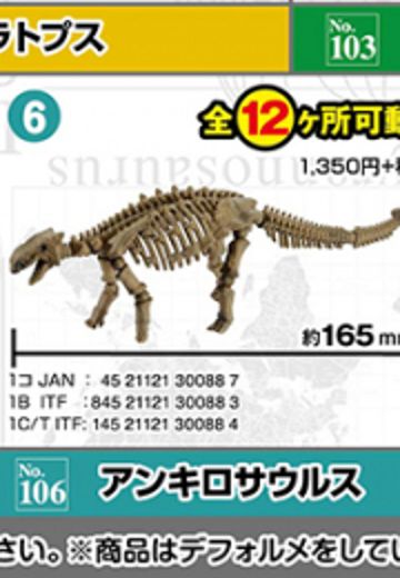 俯式骨架 恐龙系列106 甲龙 | Hpoi手办维基