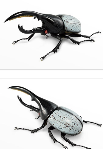 一番赏昆虫 世界昆虫博物馆 最终大奖 灰白利奇长戟大兜虫（红眼） | Hpoi手办维基