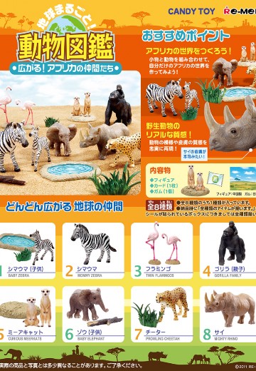 动物图鉴 整个地球！非洲的伙伴们 | Hpoi手办维基