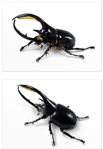 一番赏昆虫 世界昆虫博物馆 A奖 海神大兜虫 | Hpoi手办维基