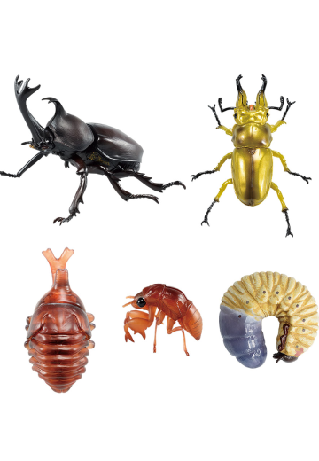 一番赏昆虫 世界昆虫博物馆 H奖 桌面昆虫 | Hpoi手办维基