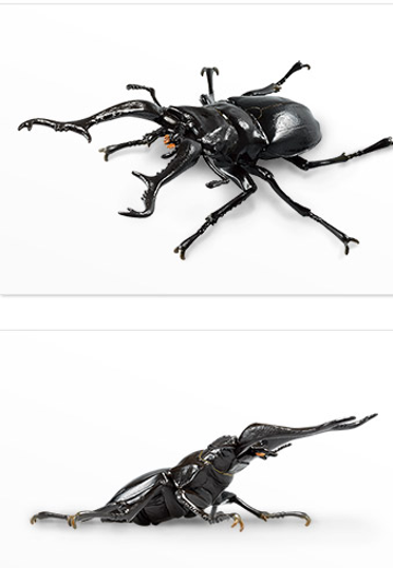 一番赏昆虫 世界昆虫博物馆 E奖 长颈鹿锯锹 | Hpoi手办维基