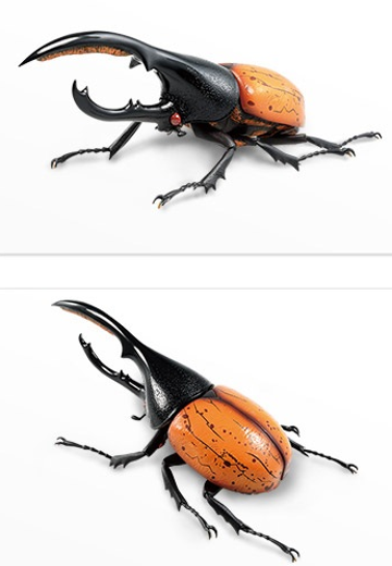 一番赏昆虫 世界昆虫博物馆 D奖 利奇长戟大兜虫（红眼）