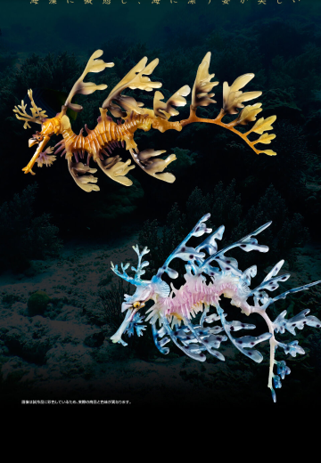 高级生物大图鉴  叶海龙 | Hpoi手办维基