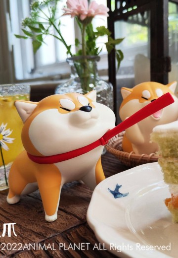 阿柴枸杞 互动枸杞 招手、端坐、拉绳