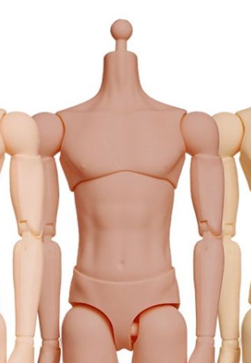 MAF BODY 12次元体 可动人偶专属素体 - 日烧肌 | Hpoi手办维基