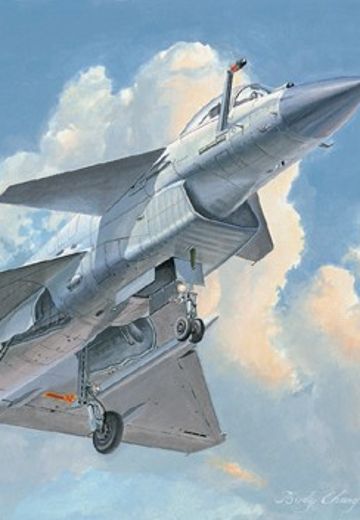 编号：02848 1/48 军用飞机系列 中国 歼十B 猛龙战斗机 | Hpoi手办维基