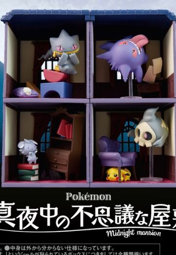 精灵宝可梦 深夜里的神奇小屋