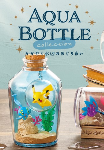 宝可梦 水瓶系列 相逢岸边美景