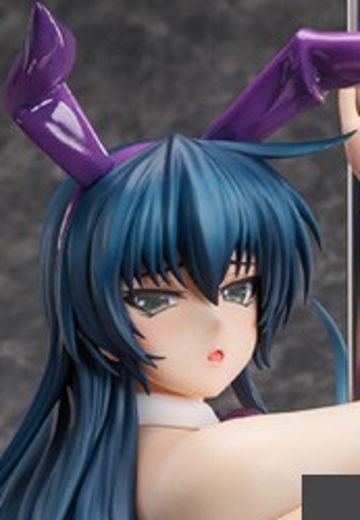 对魔忍系列 井河阿莎姬 兔女郎 限定版