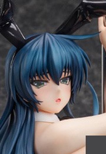 对魔忍系列 井河阿莎姬 兔女郎