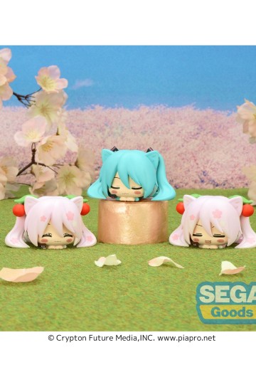 午睡猫咪MP 初音未来 樱花未来2023