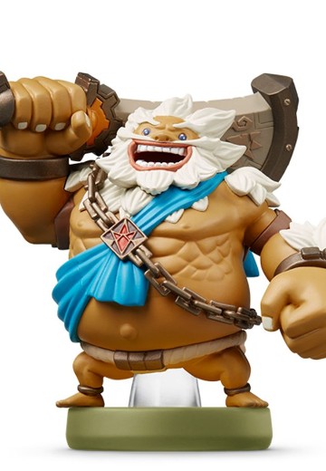 amiibo 塞尔达传说系列 塞尔达传说：旷野之息 达尔克尔 | Hpoi手办维基