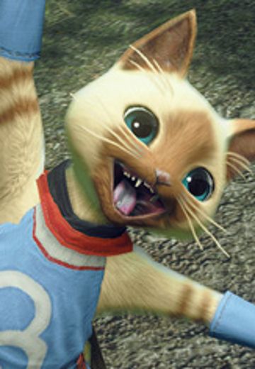 随从艾露猫