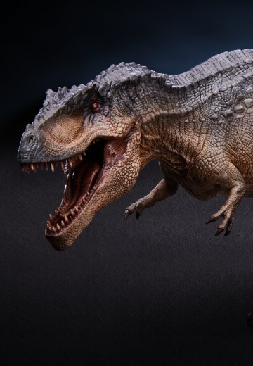 南方巨兽龙“破坏神”异色版