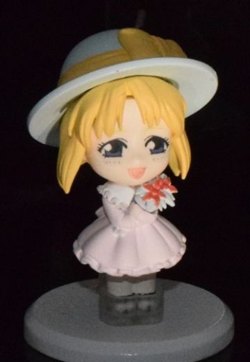 TINY SESSION 超时空要塞系列 鲜花少女