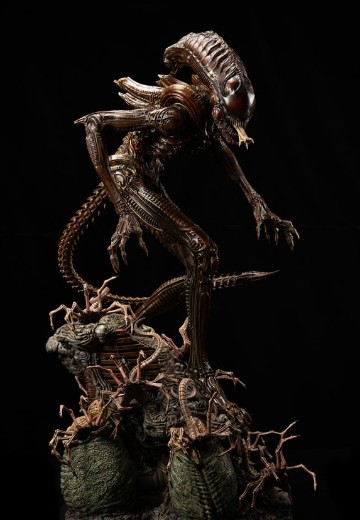 战斗异形 棕色变种 | Hpoi手办维基