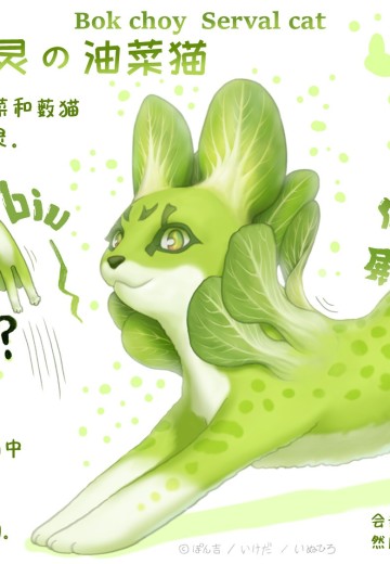 蔬菜精灵 油菜猫
