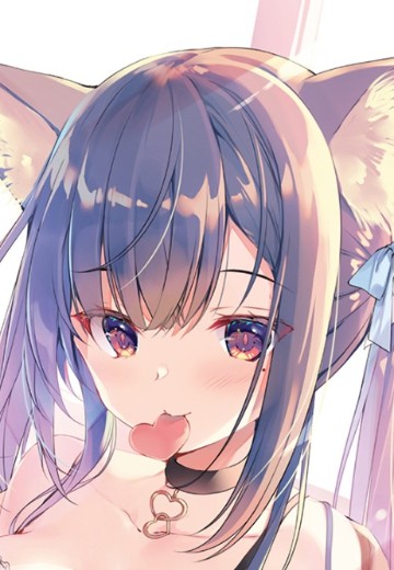 经典巧克力内衣猫耳酱 | Hpoi手办维基