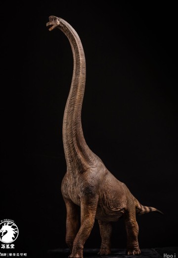 腕龙（长颈巨龙） | Hpoi手办维基