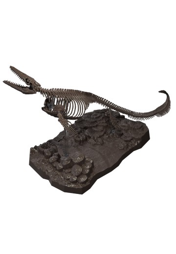 1/32 幻想骨架  沧龙 | Hpoi手办维基