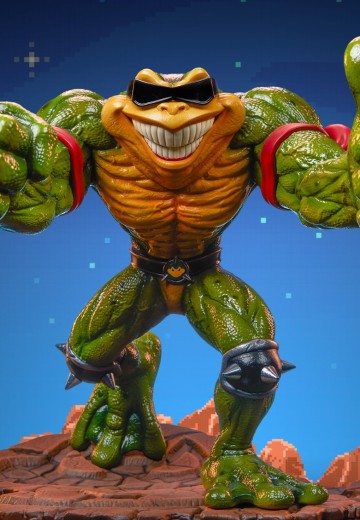 912173 忍者蛙 RASH | Hpoi手办维基