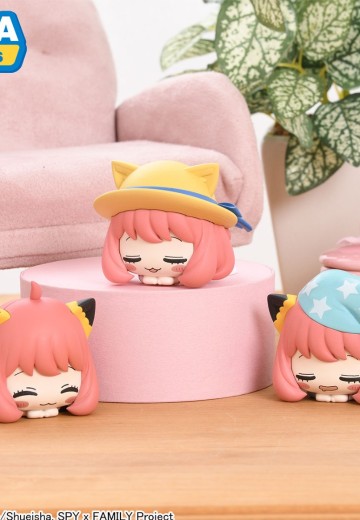 间谍过家家 动画版 午睡猫咪3 | Hpoi手办维基