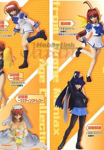 Figure Meister 小茜的狂热追求者时代收藏 | Hpoi手办维基