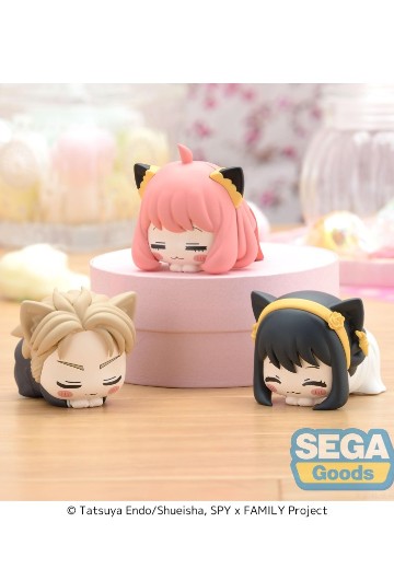 间谍过家家 动画版 午睡猫咪4 | Hpoi手办维基