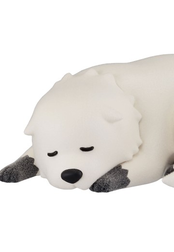 间谍过家家 软萌-邦德·福杰-B款 | Hpoi手办维基