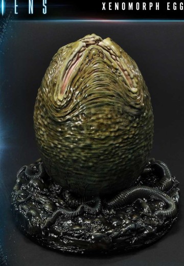 PMDHAL-06 异形漫画 异形卵 封闭版 | Hpoi手办维基