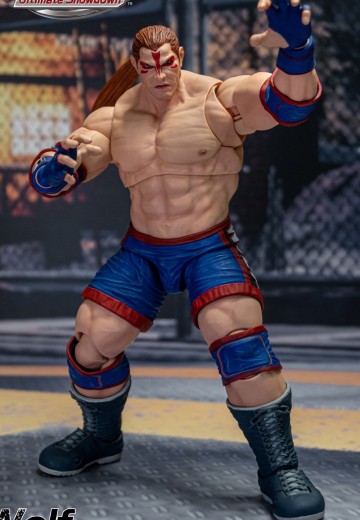 VR快打5 沃尔夫.霍克菲尔德 | Hpoi手办维基