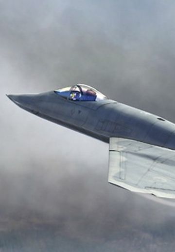 编号:81722 1/48 军用飞机系列 美国YF-23原型机 | Hpoi手办维基