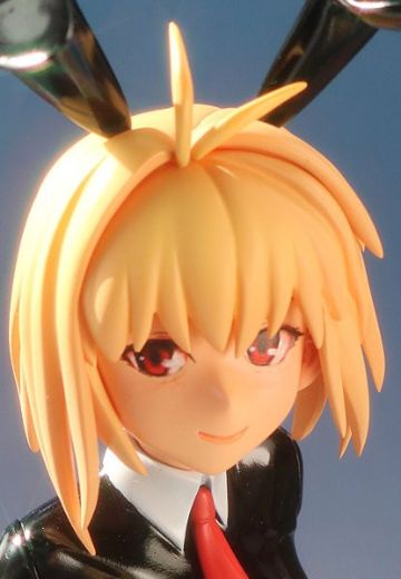 命运-冠位指定  爱尔奎特·布伦史坦德 逆兔女郎 | Hpoi手办维基