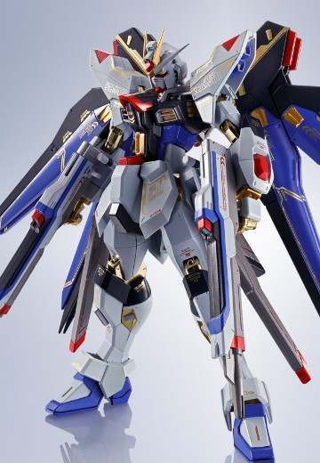 METAL ROBOT魂＜机动战士系列＞  强袭自由高达  SEED20周年纪念版