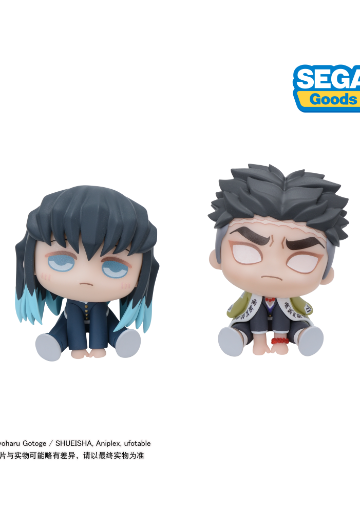 大眼萌我 精细人偶 鬼灭之刃 时透无一郎+悲鸣屿行冥 | Hpoi手办维基