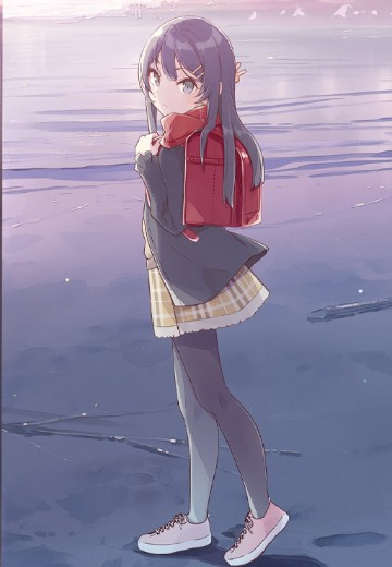 青春猪头少年不会梦到红书包女孩