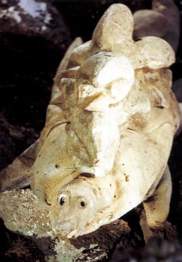 岩石外星人 安能（暂译）