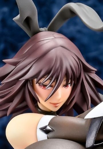 对魔忍RPGX 水城不知火 | Hpoi手办维基