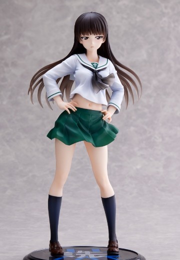 Dream Tech 少女与战车 战车道大作战！ 西住志穗【大洗女子】 | Hpoi手办维基