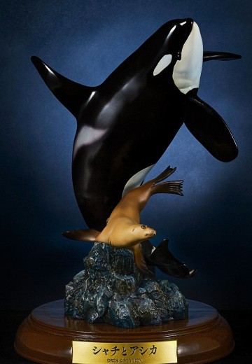 NATURE TALES 虎鲸和海狮