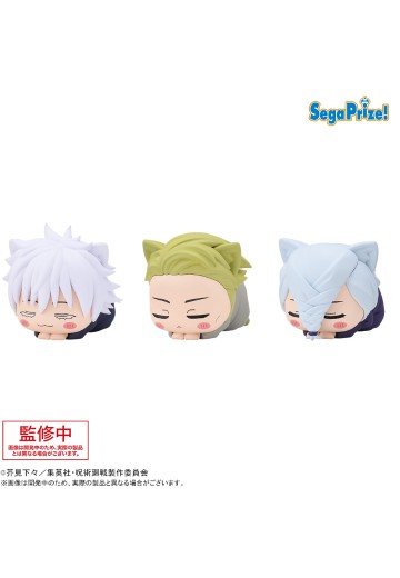 咒术回战   午睡猫咪3