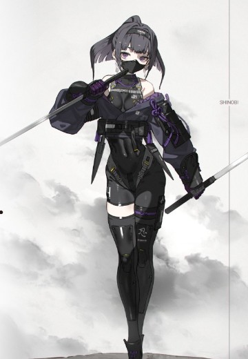 FALSLANDER 忍者. | Hpoi手办维基