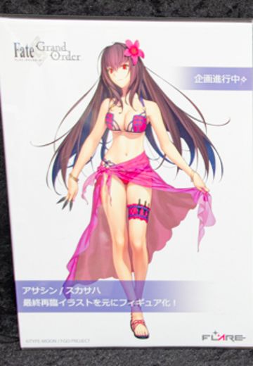 命运-冠位指定 暗匿者-斯卡哈