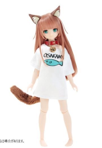 我家的猫是可爱女孩 黄豆粉 Dollybird限定版