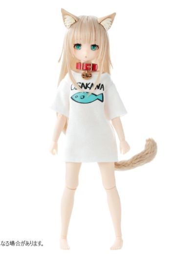 我家的猫是可爱女孩 黄豆粉 普通版