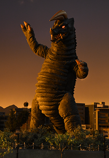 保镖怪兽 布莱克王