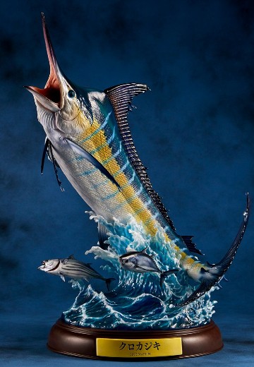 NATURE TALES 蓝枪鱼 | Hpoi手办维基