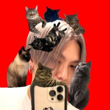 ともふみ（Tomofumi）